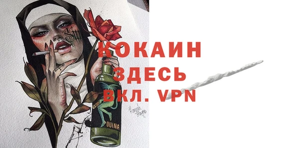 спиды Богородицк