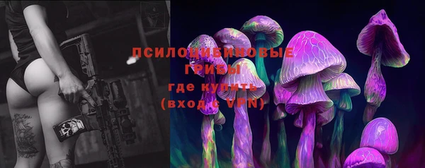 спиды Богородицк