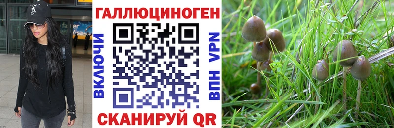 blacksprut ссылка  Певек  Псилоцибиновые грибы Magic Shrooms 
